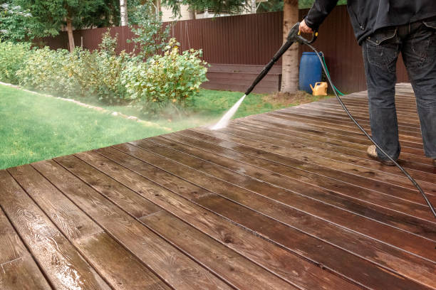 Best Pre-Holiday Cleaning  in Eudora, AR